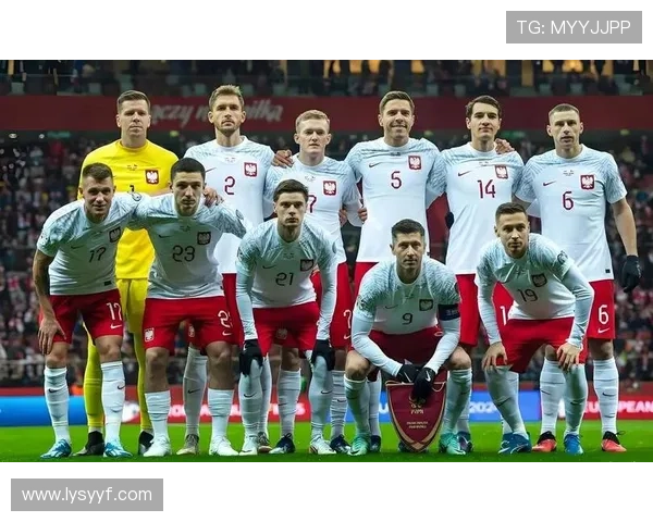 土耳其首发战科索沃波兰关注